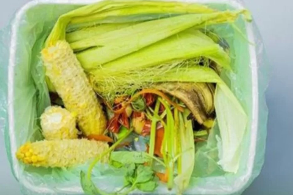 Sampah Dapur Untuk Tanaman