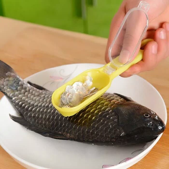 Alat Pembersih Sisik Ikan Dapur