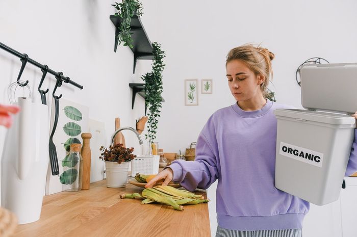 sampah dapur organik