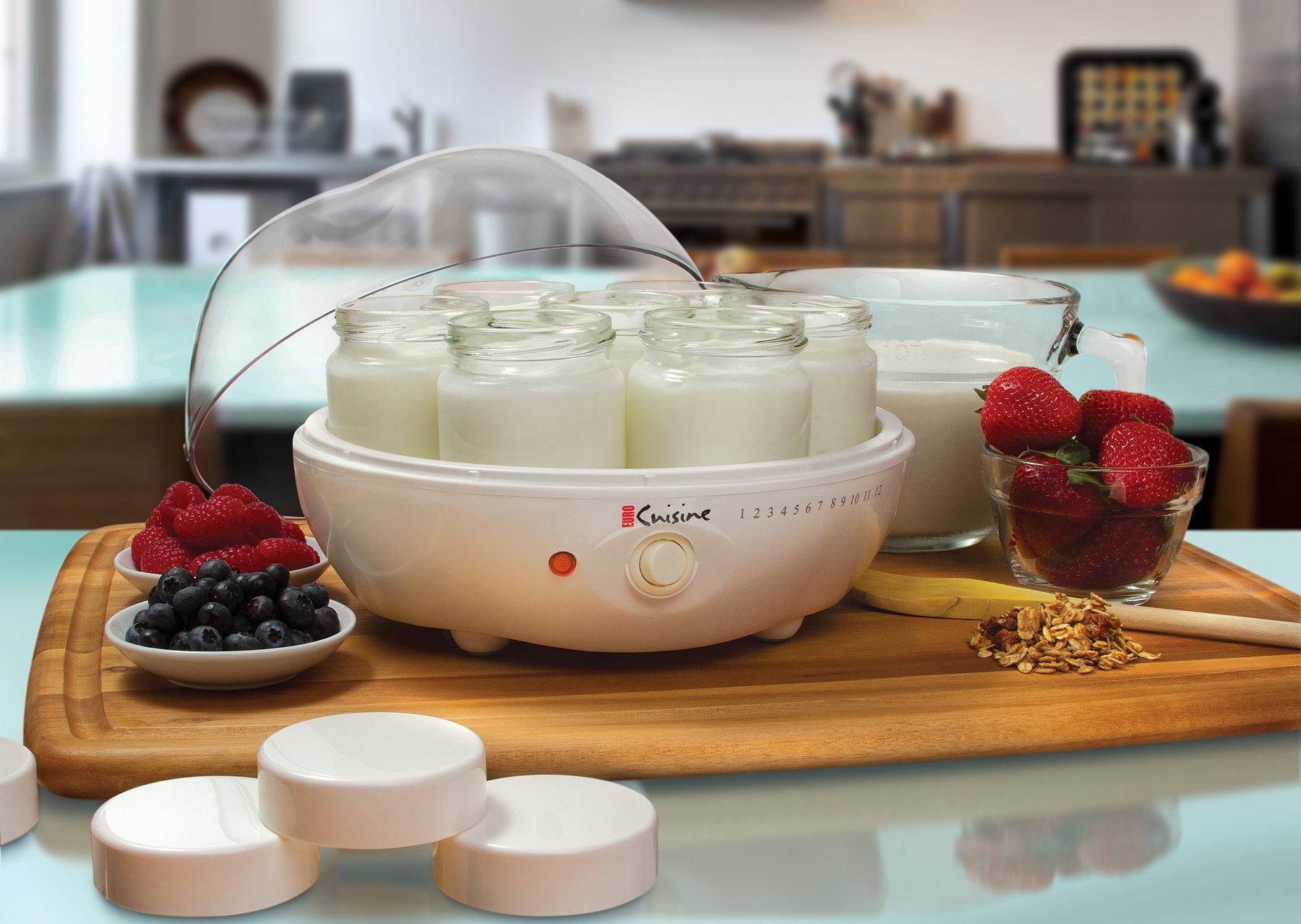 yogurt maker dapur