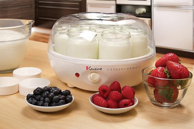 yogurt maker dapur